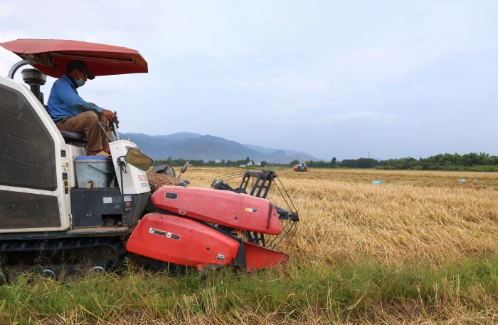 Liên kết để nâng tầm nông sản