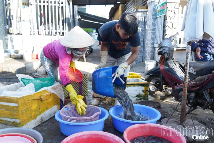 Nhịp sống buổi bình minh