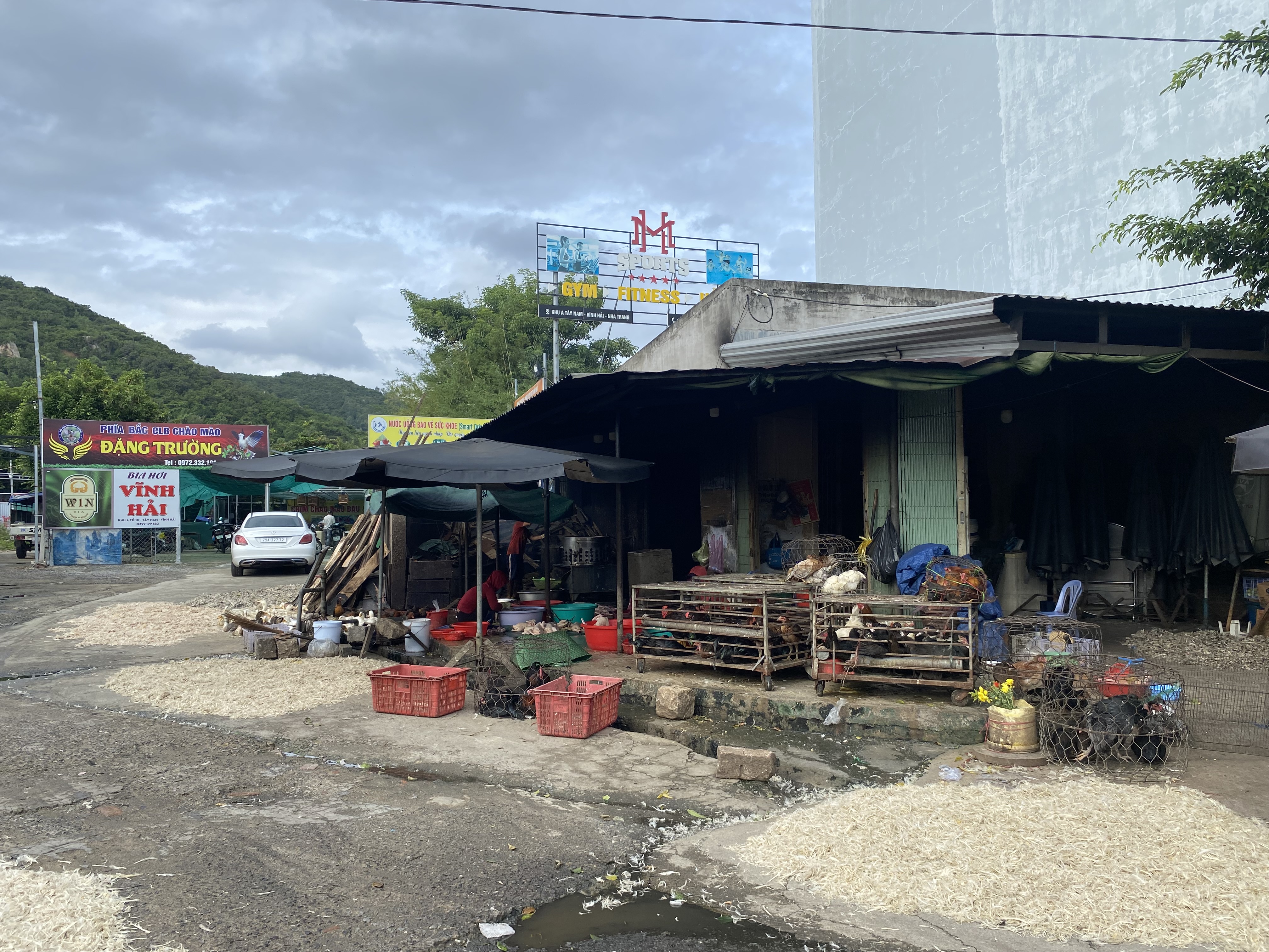 Giết mổ gà, vịt gây ô nhiễm ở chợ Vĩnh Hải: Sẽ yêu cầu chủ cơ sở cam kết bảo đảm vệ sinh môi trường