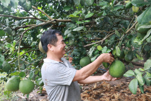 Khánh Vĩnh: Phát huy hiệu quả tín dụng chính sách trong giảm nghèo