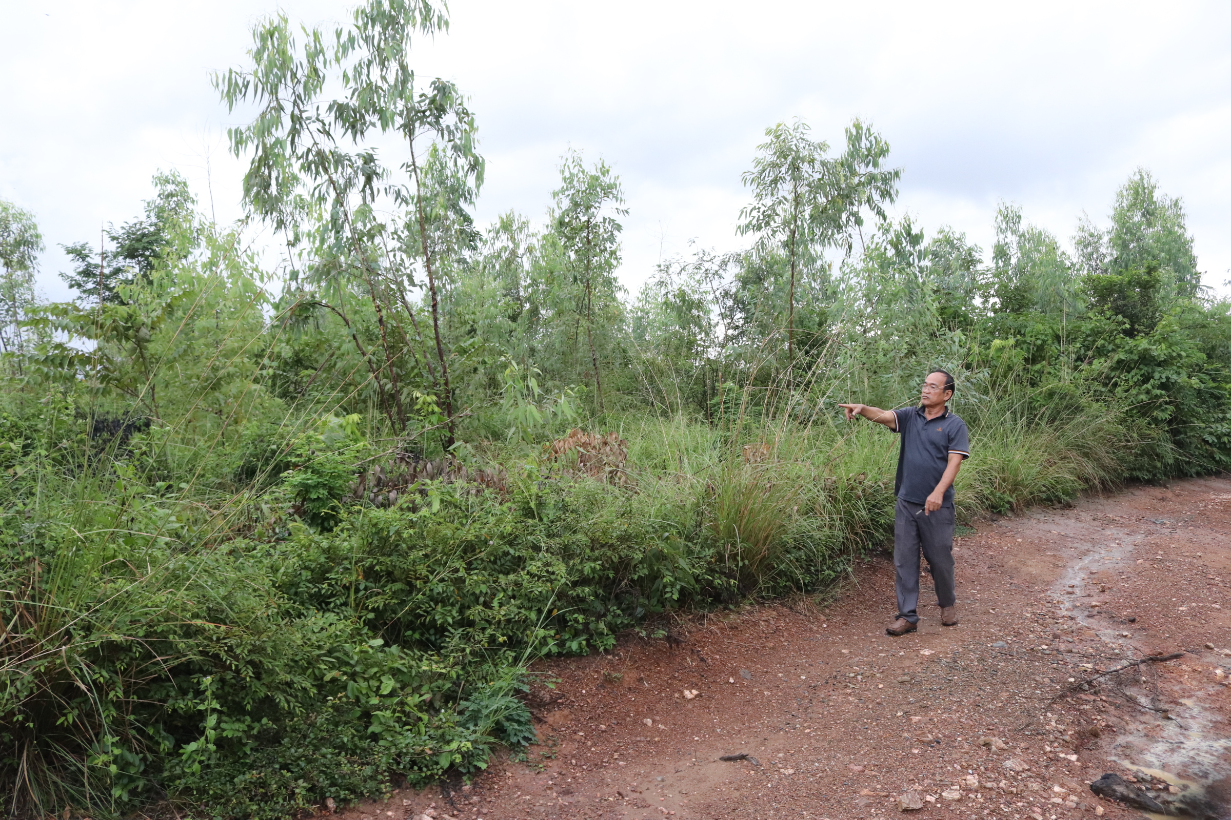 Ninh Hòa: Người dân phản ánh việc cấp sổ đỏ có chồng lấn diện tích 