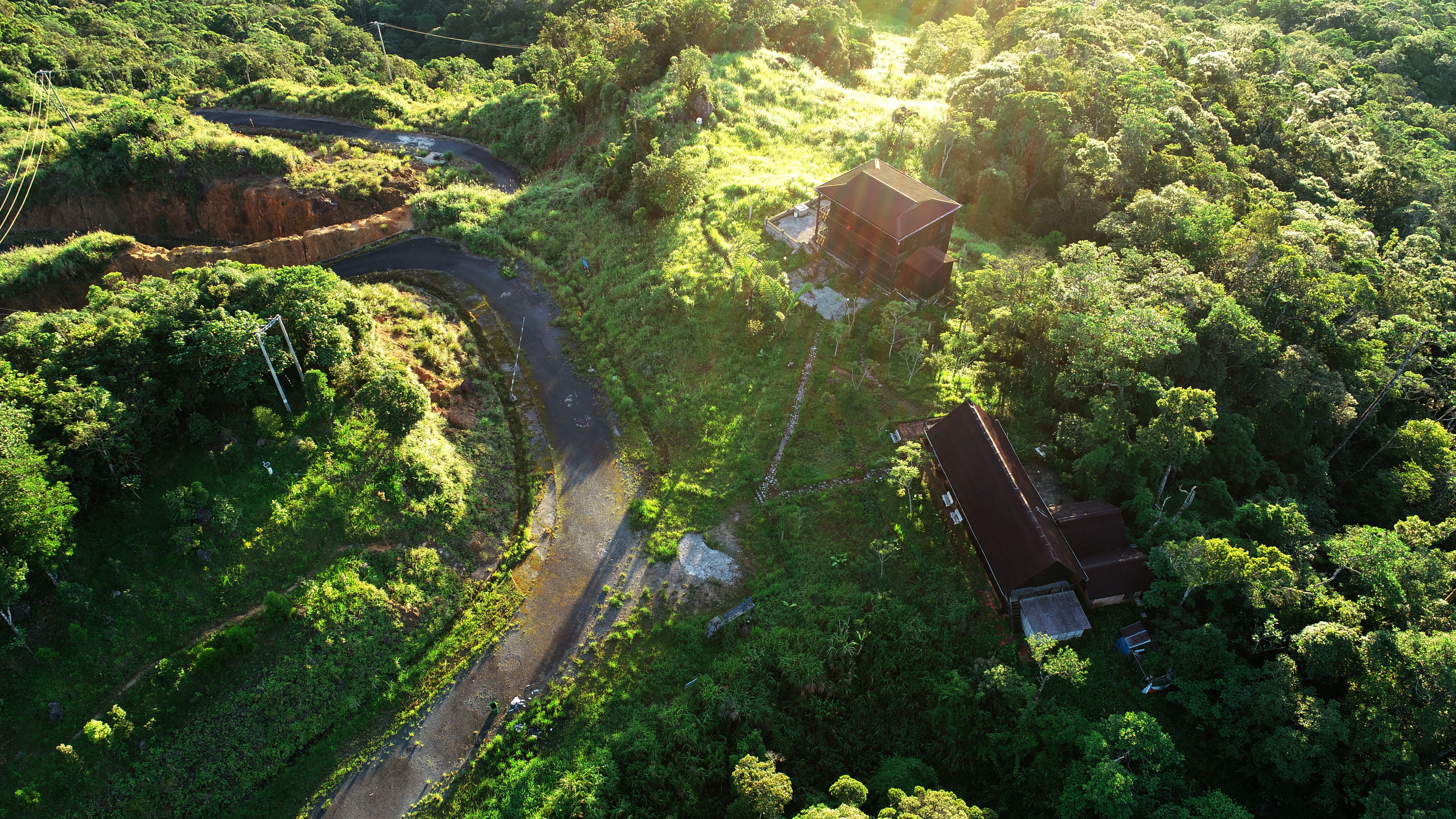 Phát huy giá trị đa dụng của hệ sinh thái rừng