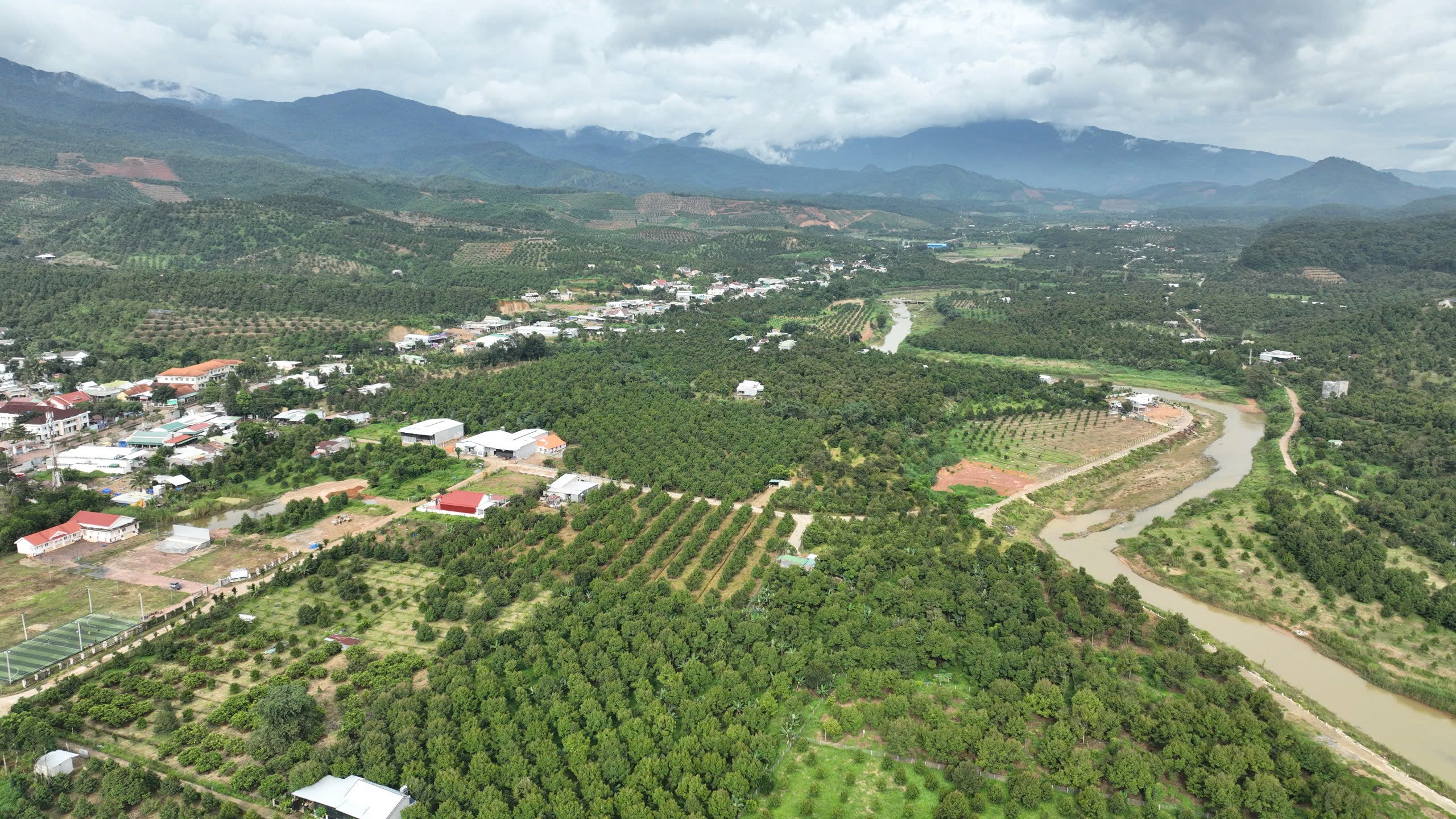 Xã Sơn Lâm: Tích cực liên kết trồng sầu riêng hữu cơ