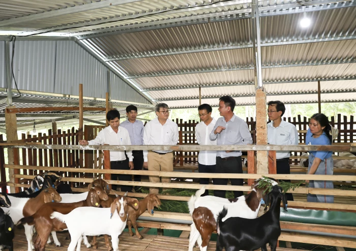 Mở hướng phát triển chăn nuôi gắn với du lịch sinh thái