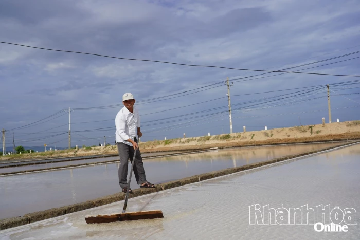 Hội Cựu chiến binh xã Ninh Hải: Phát huy phẩm chất 