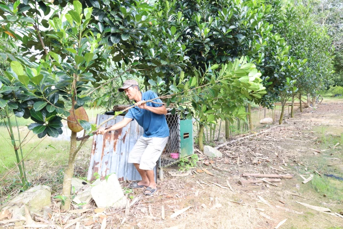 Đồng bào dân tộc thiểu số xã Khánh Vĩnh: Đổi mới trong phát triển kinh tế