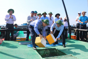 Tràn lan nuôi trồng thủy sản ngoài vùng quy hoạch - Kỳ cuối: Hướng đến phát triển nuôi trồng bền vững