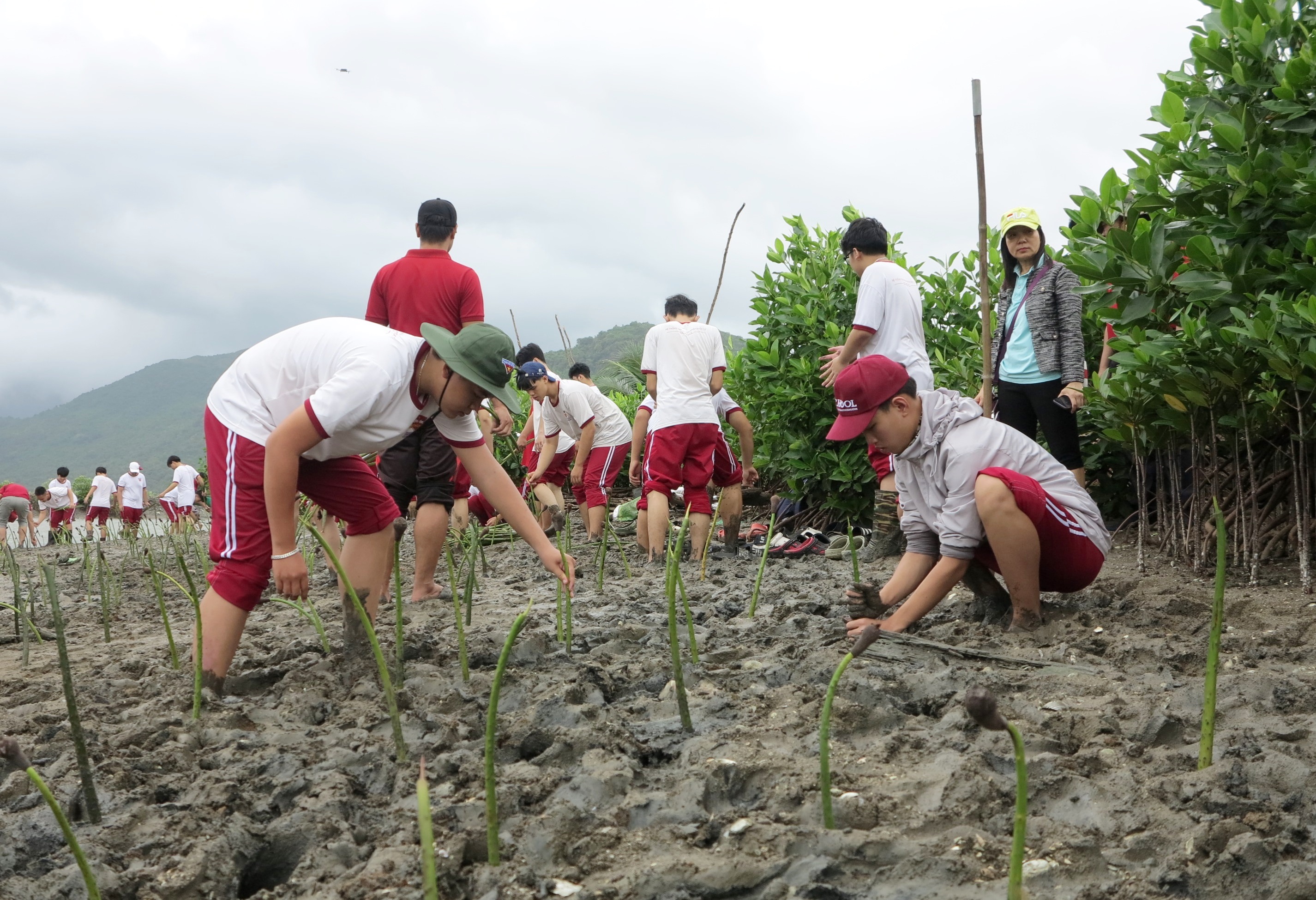 Giáo dục học sinh bảo vệ môi trường: Thay đổi nhận thức để hành động