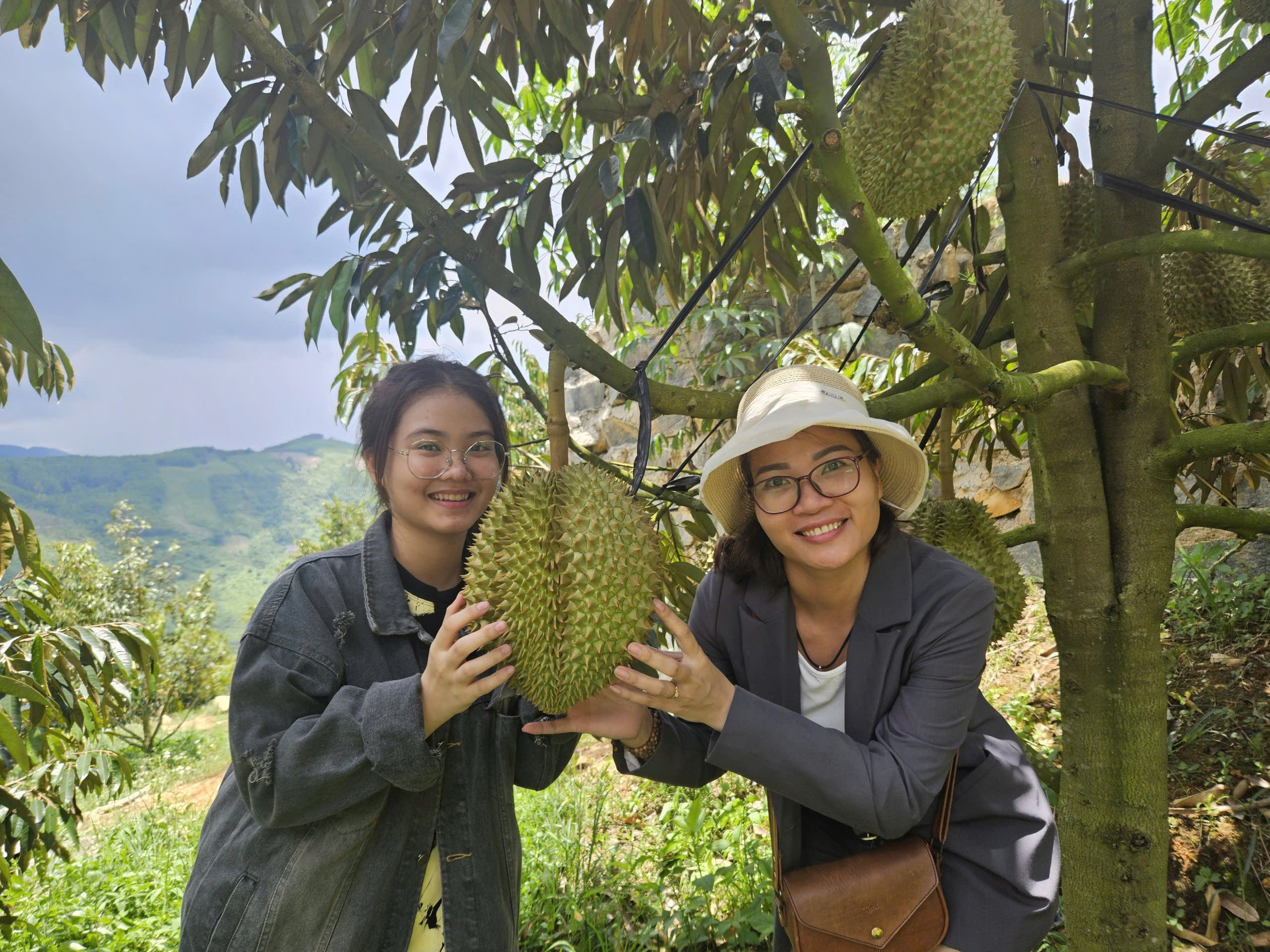 Khánh Sơn: Khuyến khích doanh nghiệp đầu tư chế biến nông sản đặc trưng