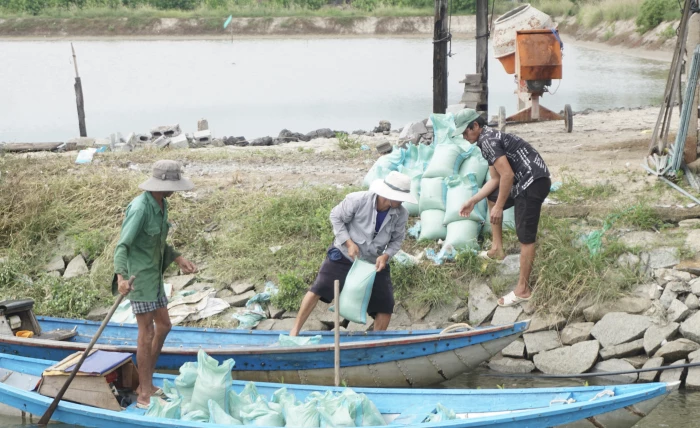 Khôi phục nuôi trồng thủy sản