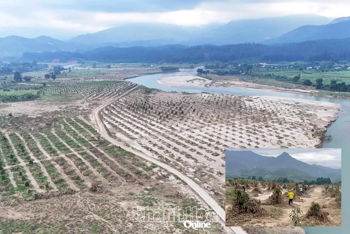 Hỗ trợ người dân miền núi khôi phục sản xuất