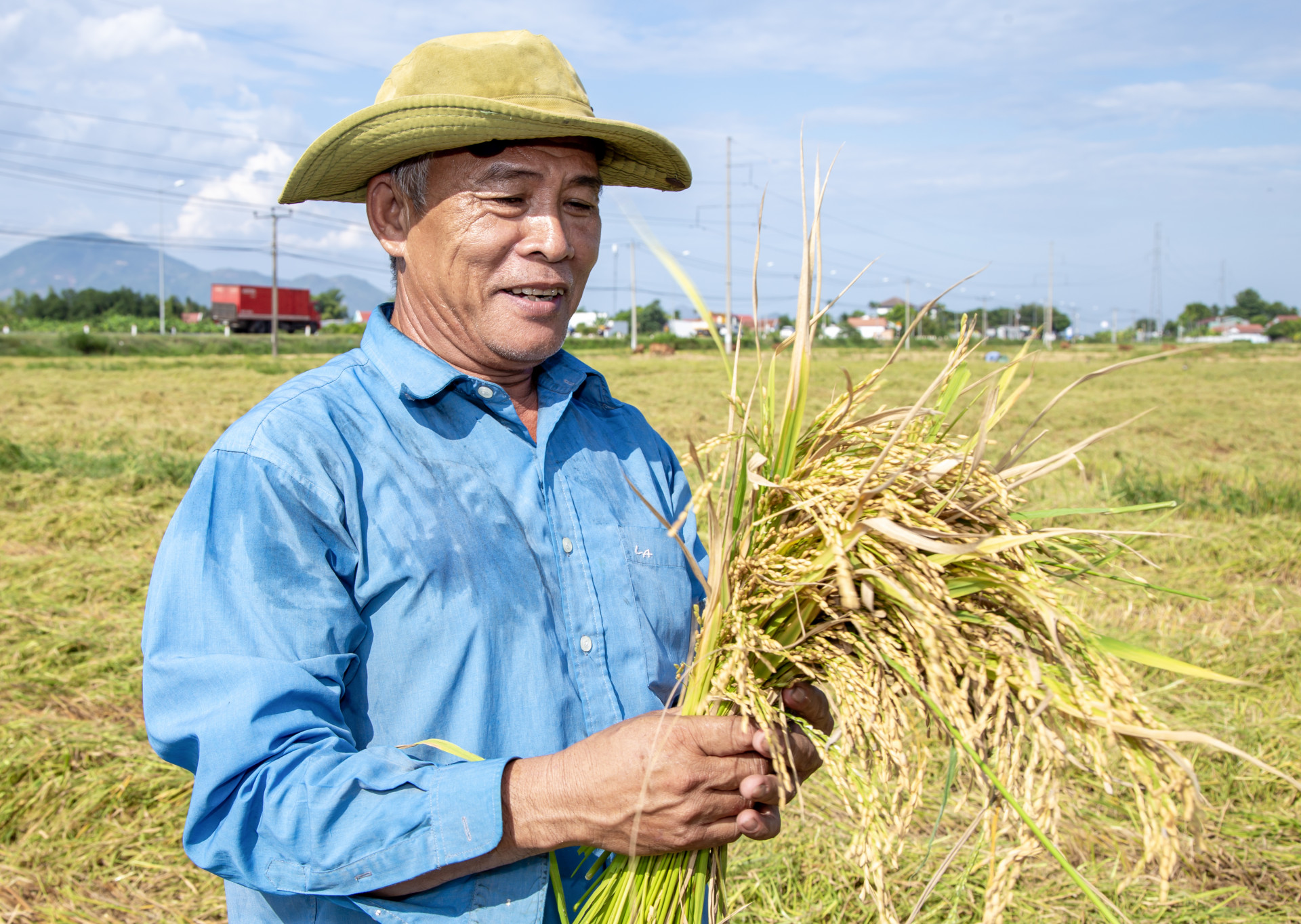 Nông dân Diên Khánh vui được mùa lúa.