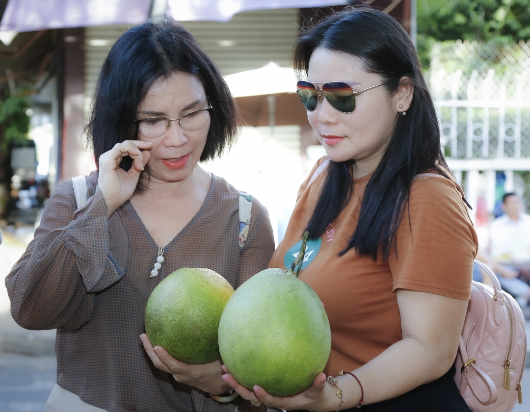 Choosing grapefruits to buy