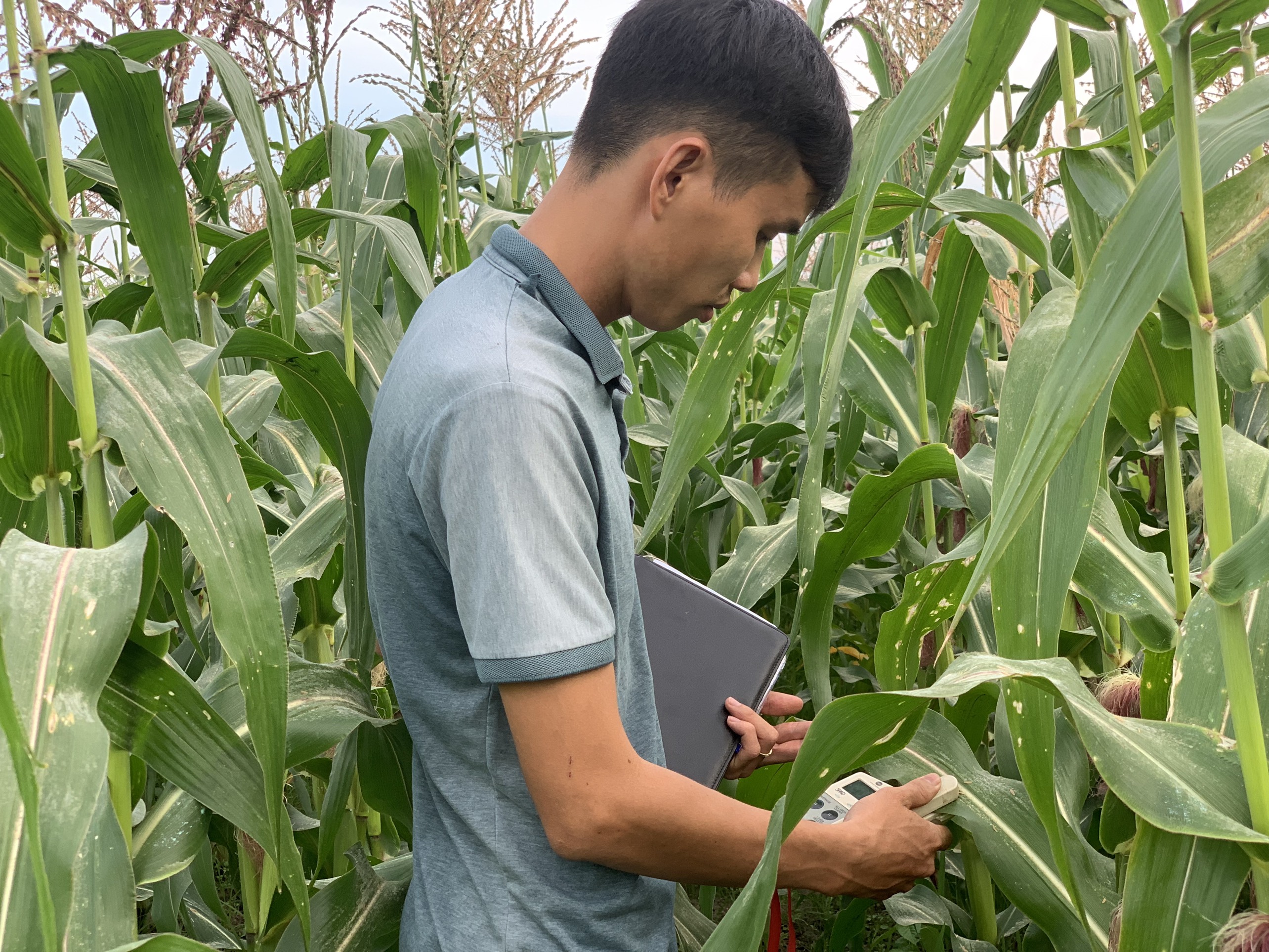 Giải pháp hỗ trợ canh tác nông nghiệp sạch