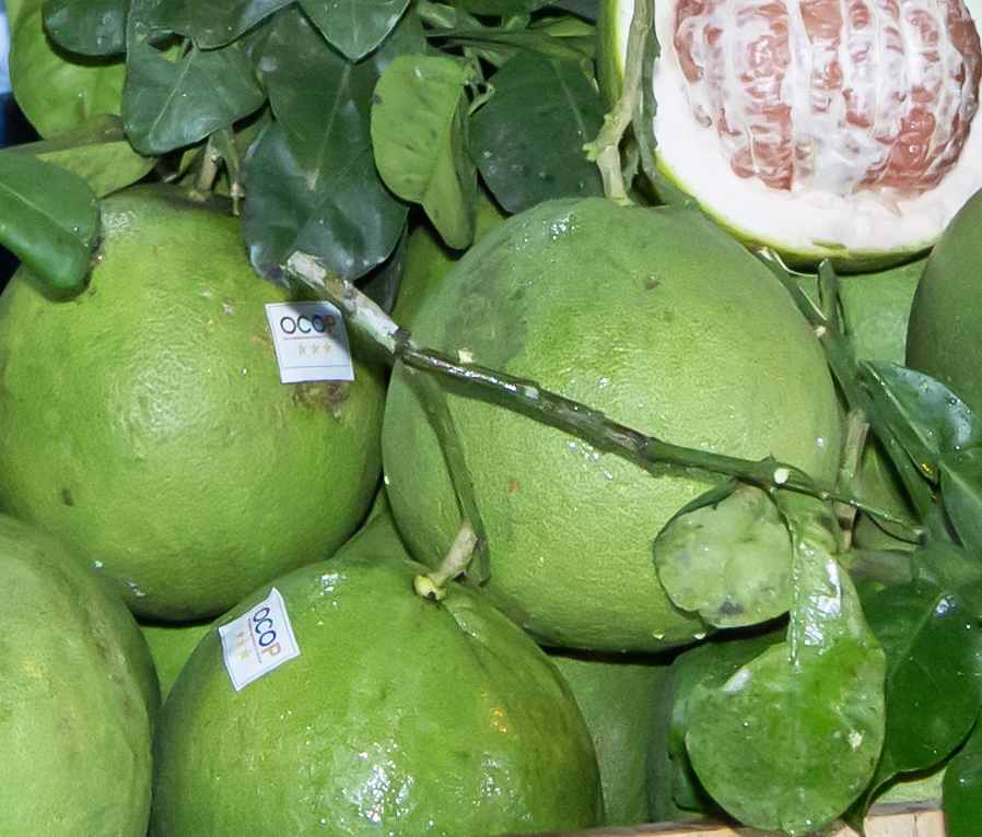 OCOP grapefruits of Hieu Linh cooperative