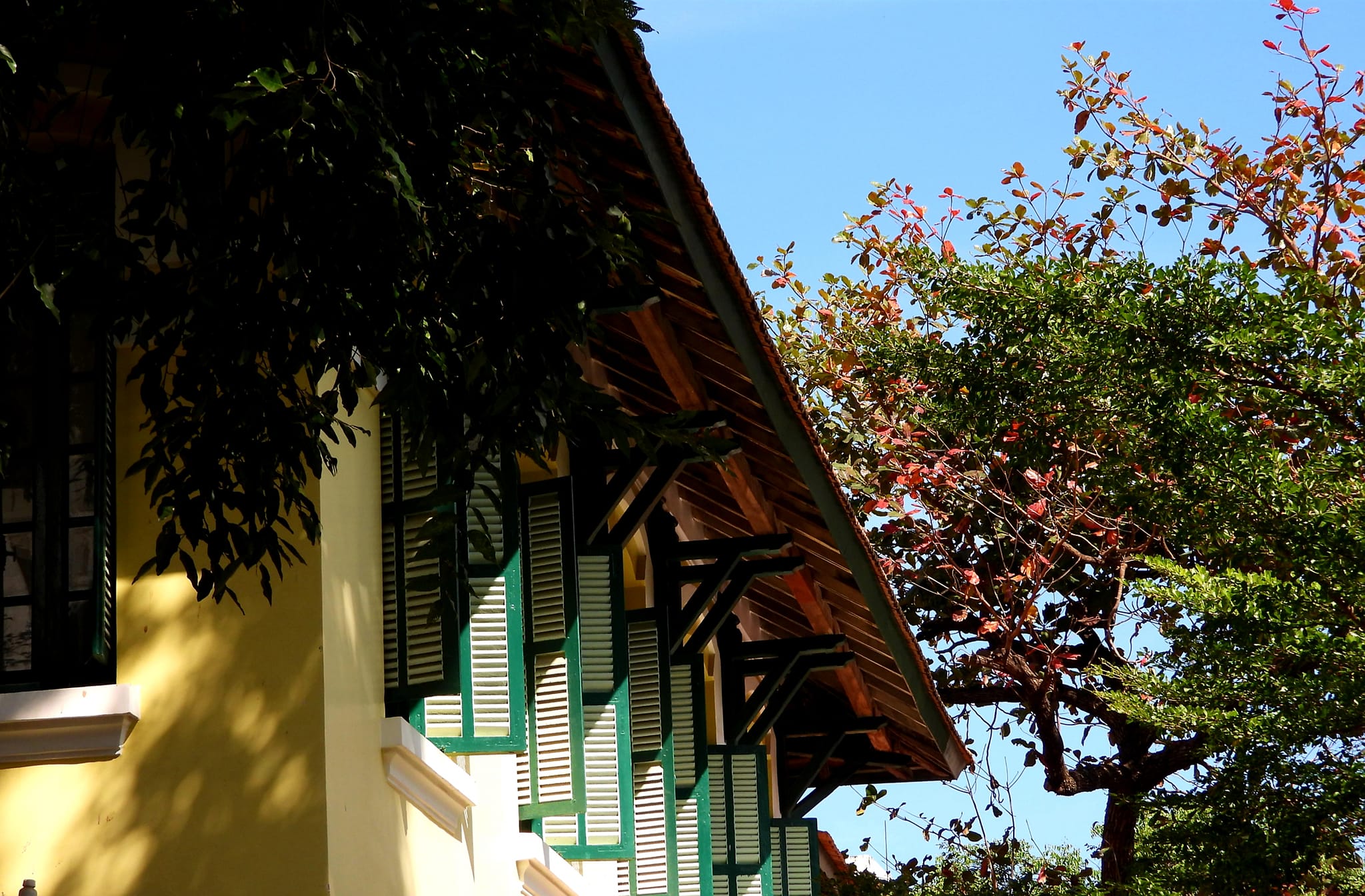 Nha Trang mùa cây bàng thay lá