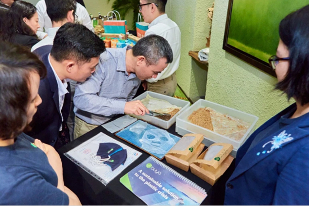 Sản xuất vật liệu hữu cơ mới thay thế nhựa