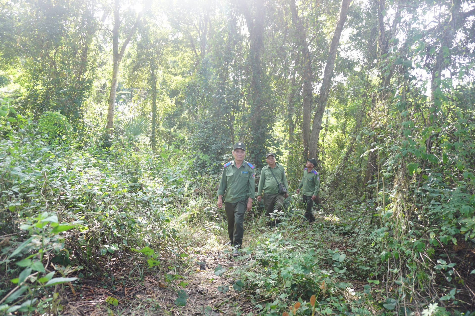 Lực lượng của Trạm Bảo vệ rừng Ninh Tây (Ban quản lý rừng phòng hộ Bắc Khánh Hòa) tuần tra rừng căm xe Ninh Tây