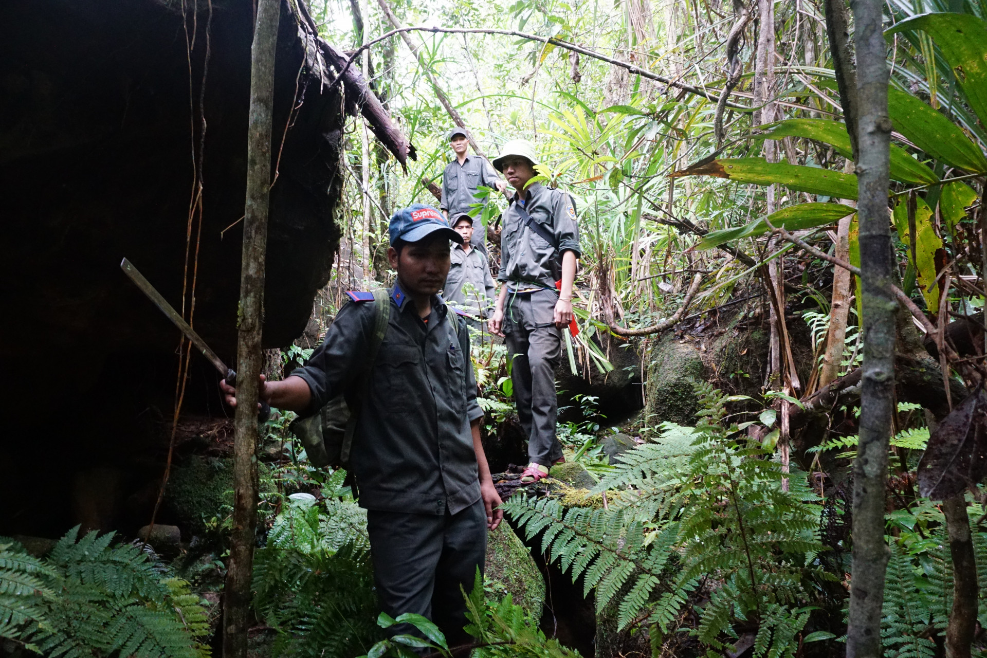 Lực lượng Trạm Bảo vệ rừng Sơn Thái đi tuần rừng dọc tuyến đèo Khánh Lê - Lâm Đồng