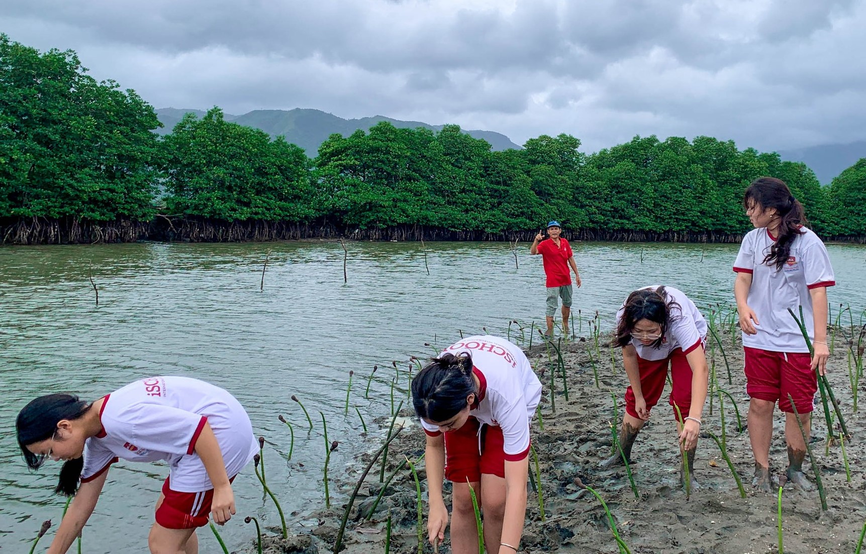 Học sinh iSchool Nha Trang trồng rừng ngập mặn.