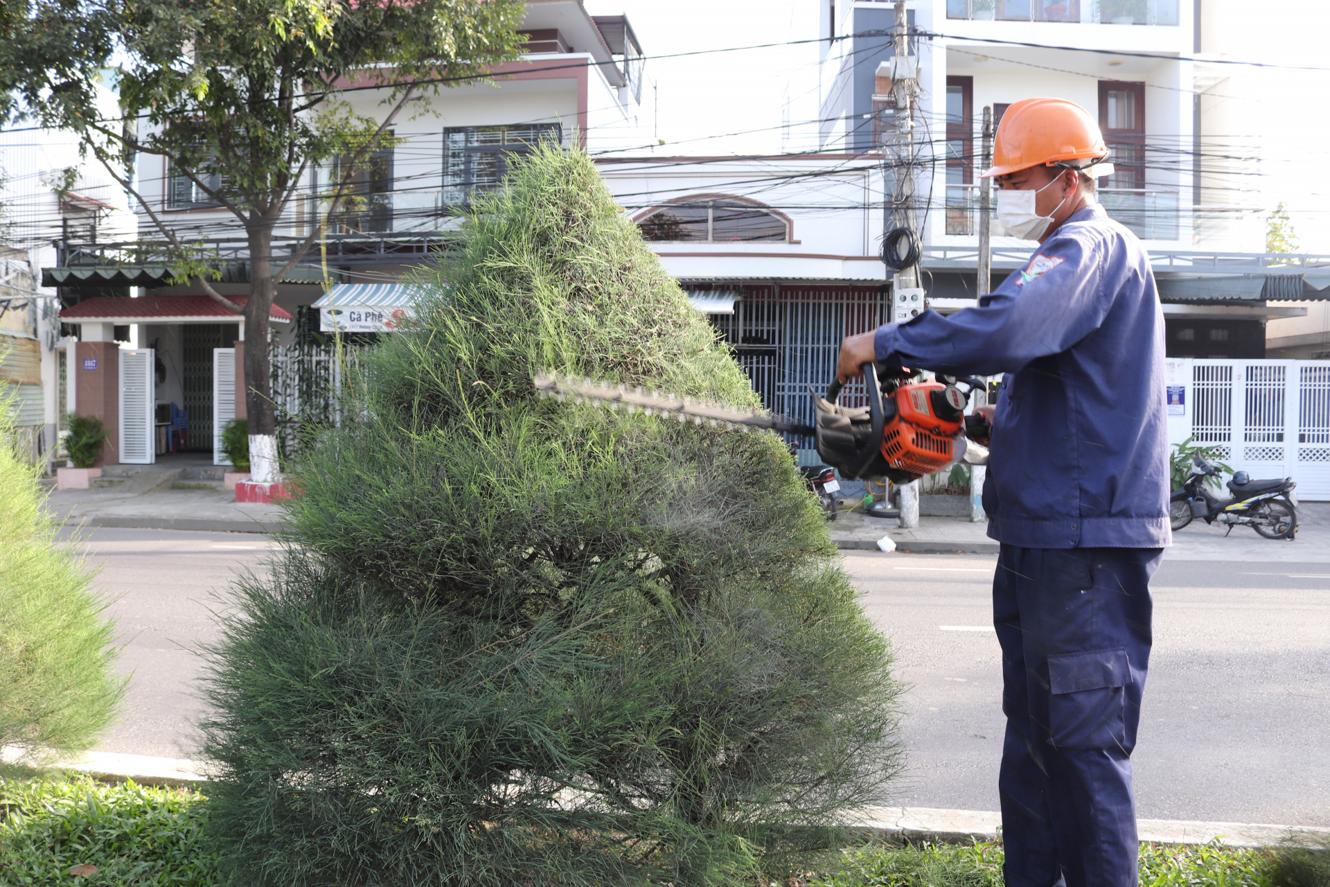 Công nhân 
Công ty Cổ phần 
Môi trường đô thị 
Nha Trang 
cắt tỉa cây xanh 
trên dải phân cách đường 23 tháng 10.
