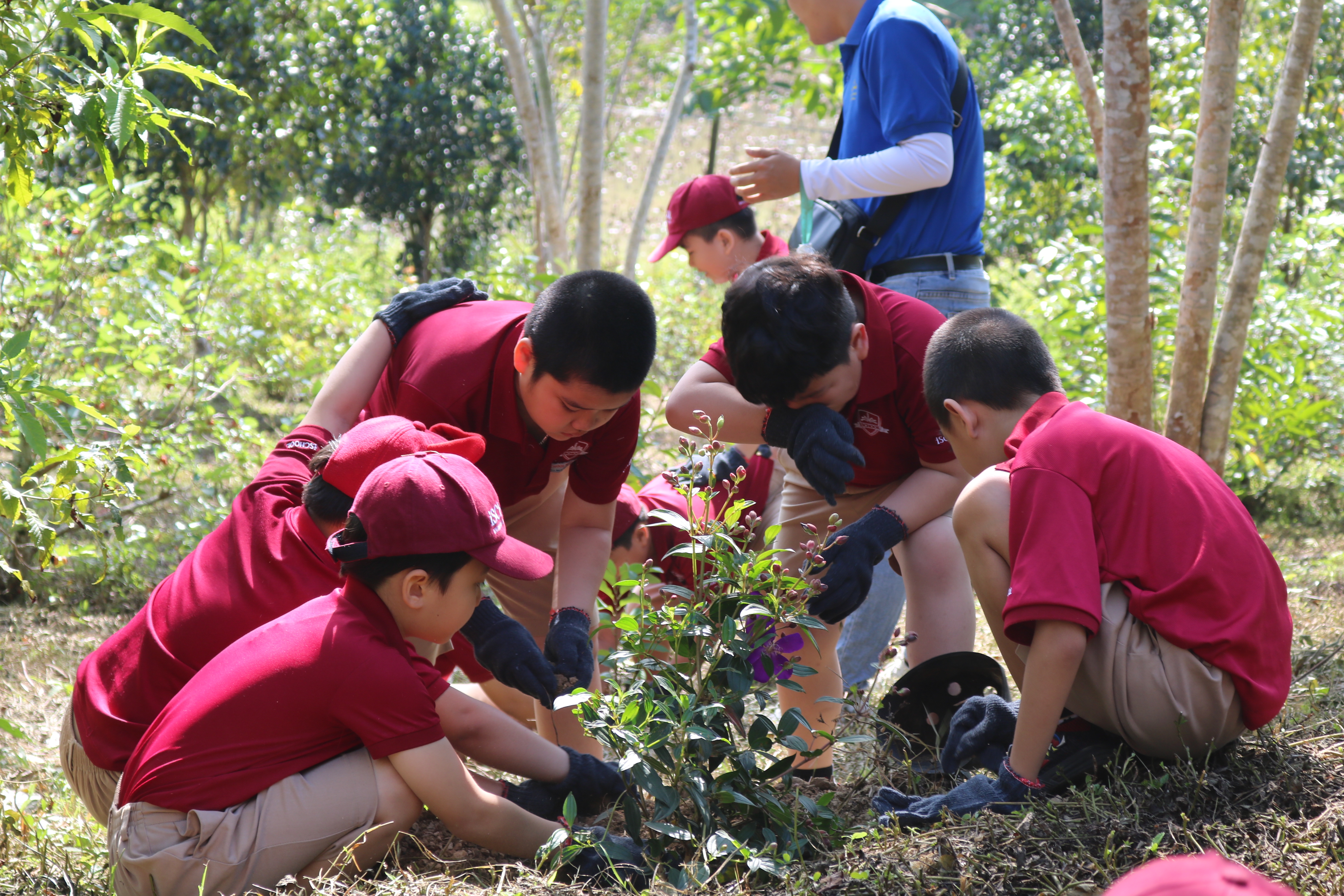 Trường iSchool Nha Trang: Học sinh tham gia trồng hơn 500 cây xanh