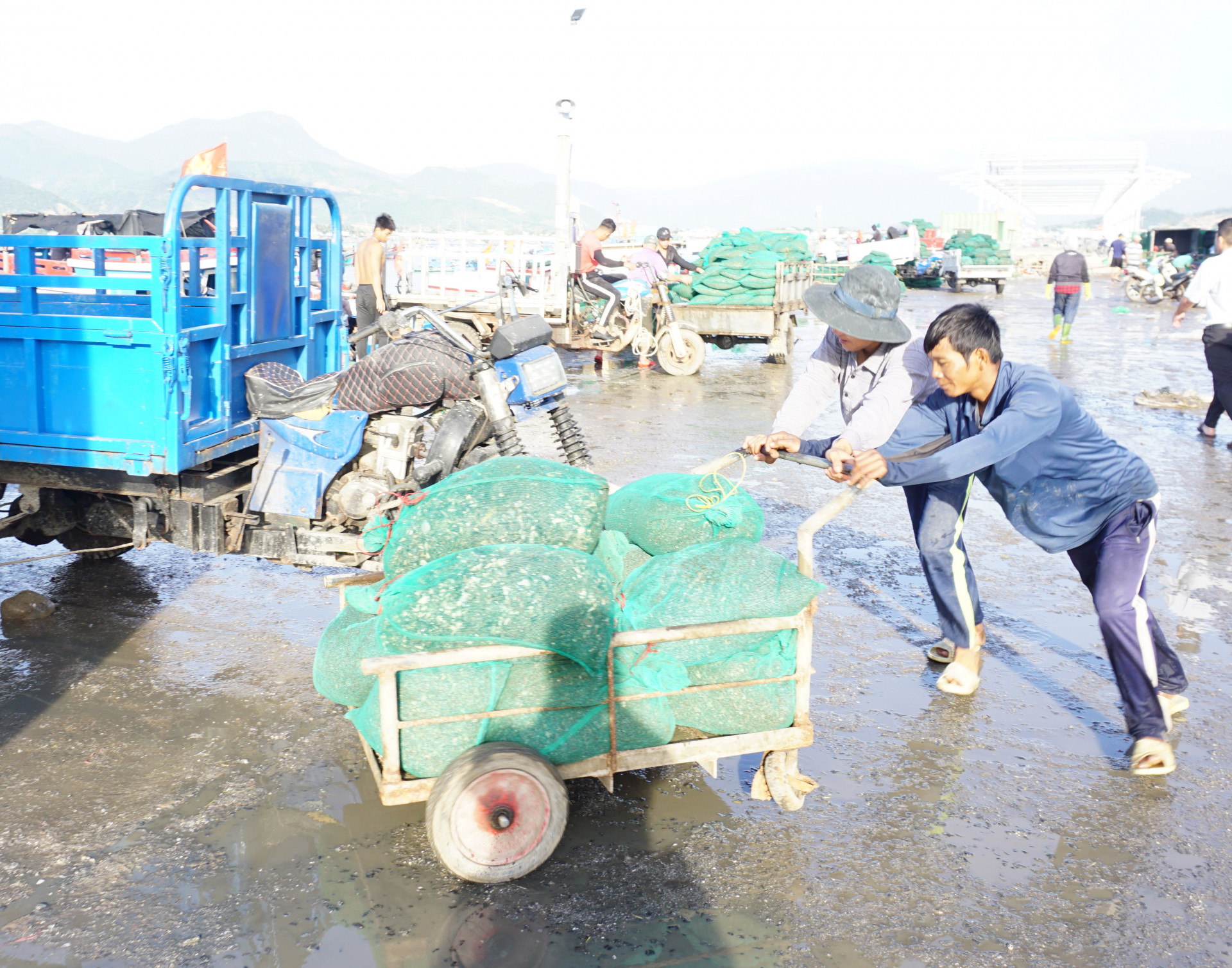 Người làm công tại các vựa đưa các bao đựng thức ăn cho tôm, cá ra cầu cảng.