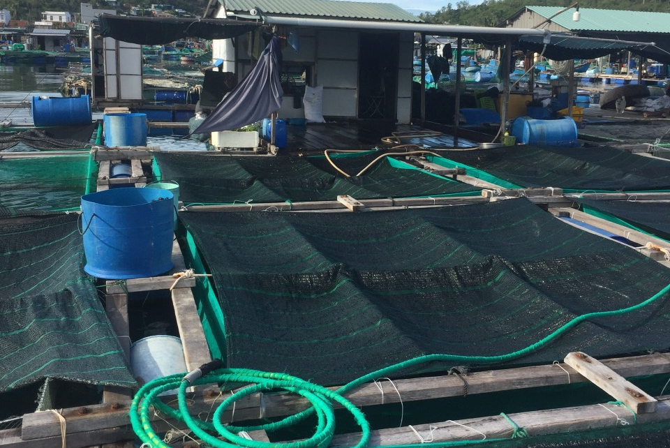 Nông dân cải tiến ô lồng nuôi thủy sản