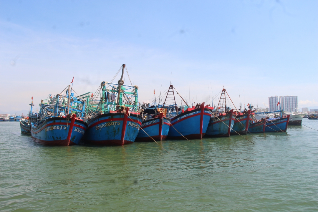 Trước ngày 30-4, mở đợt cao điểm kiểm tra, xử lý các hành vi vi phạm IUU