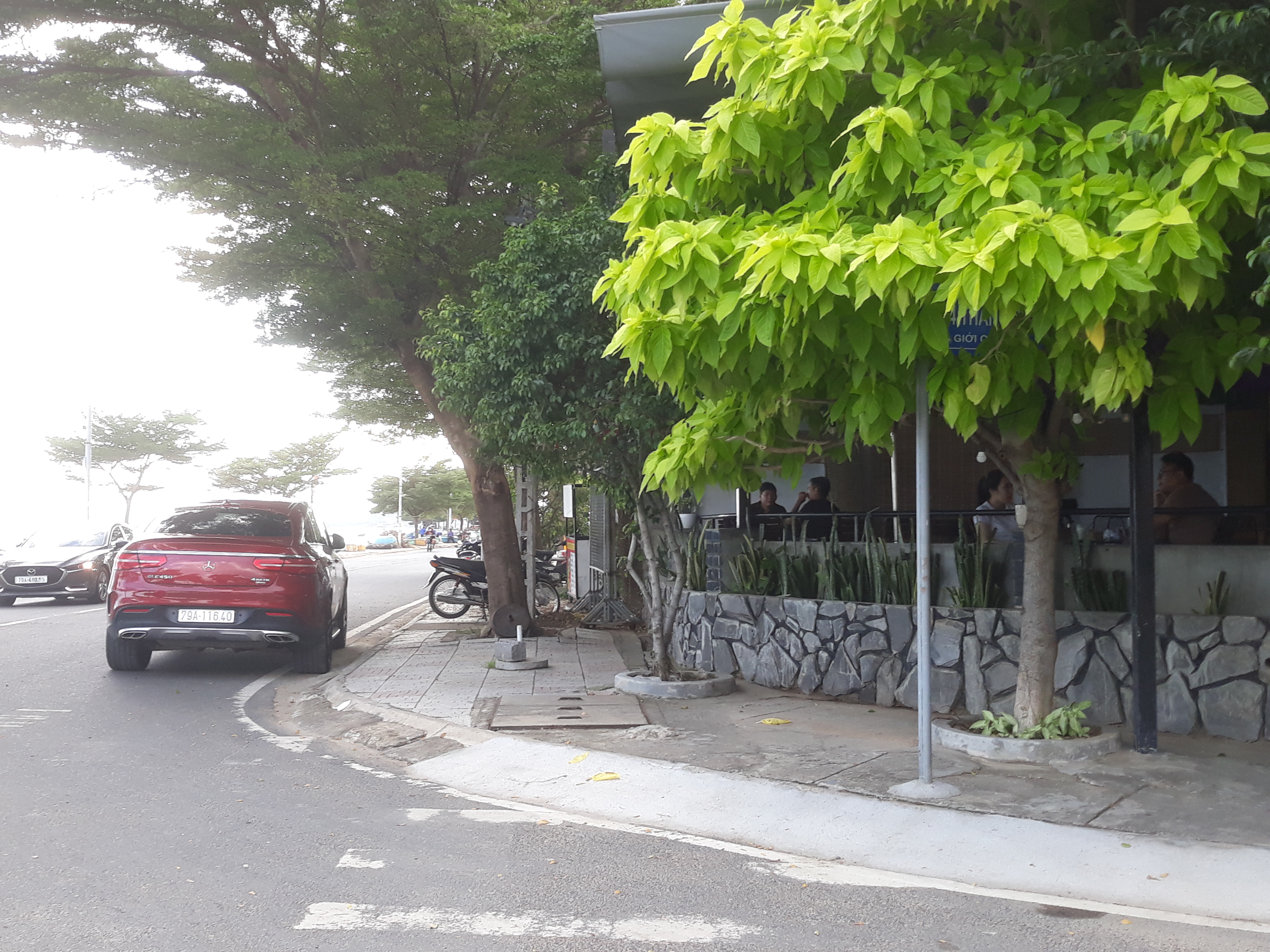 Bảng tên đường bị cây xanh che khuất