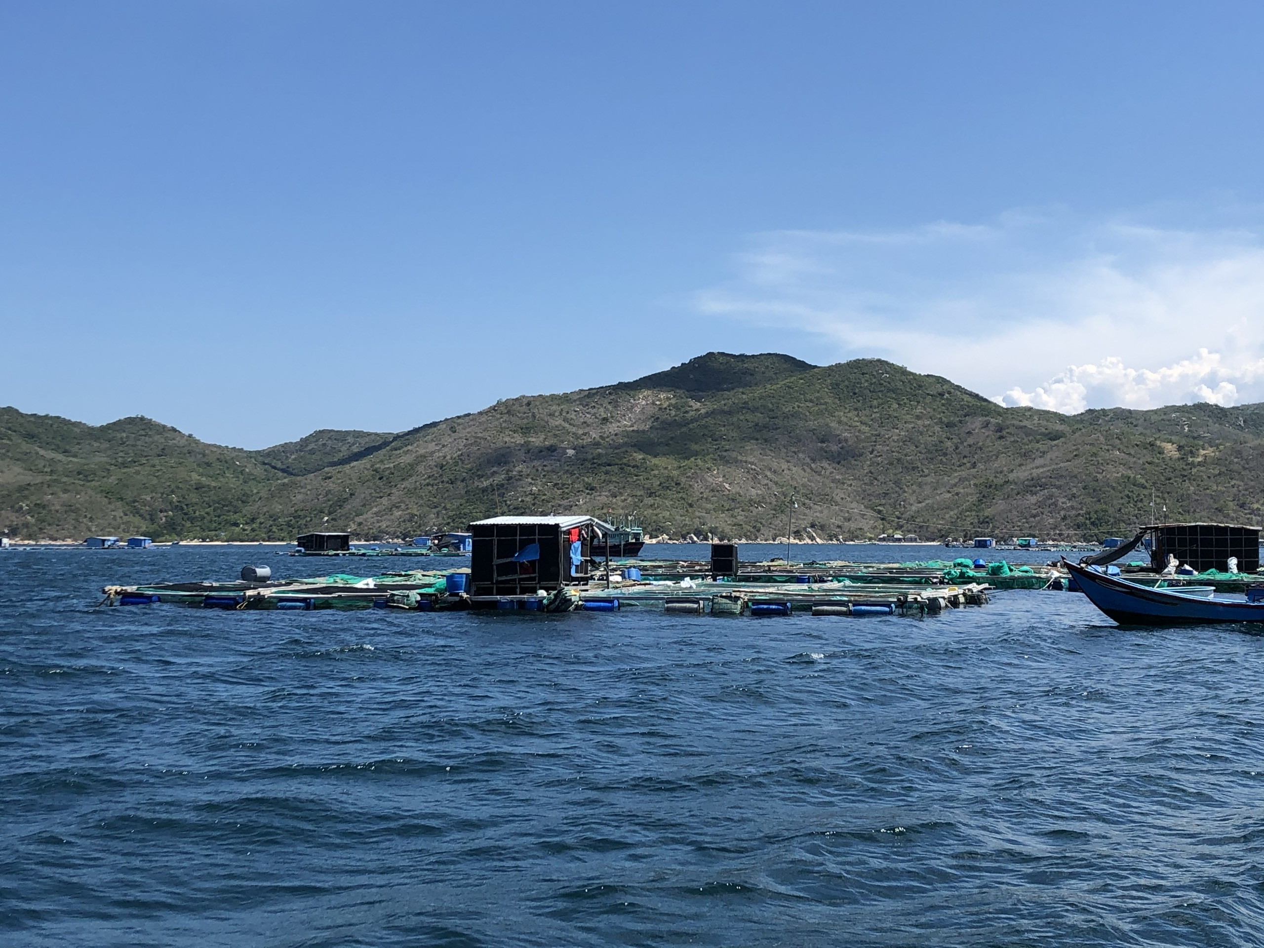 Toàn tỉnh Khánh Hòa thả nuôi thủy sản gần 4.830ha