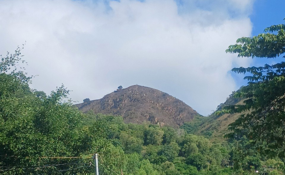 Vụ cháy trên núi Cô Tiên: Diện tích bị cháy khoảng 11ha