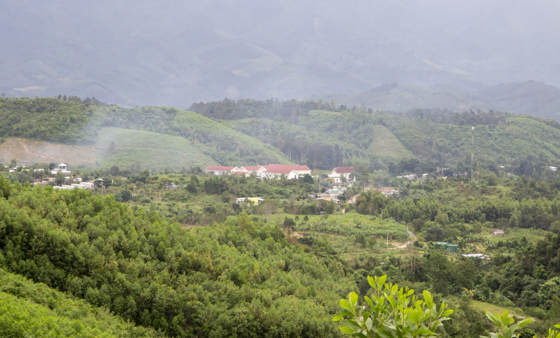 Xã Giang Ly ngập tràn màu xanh.
