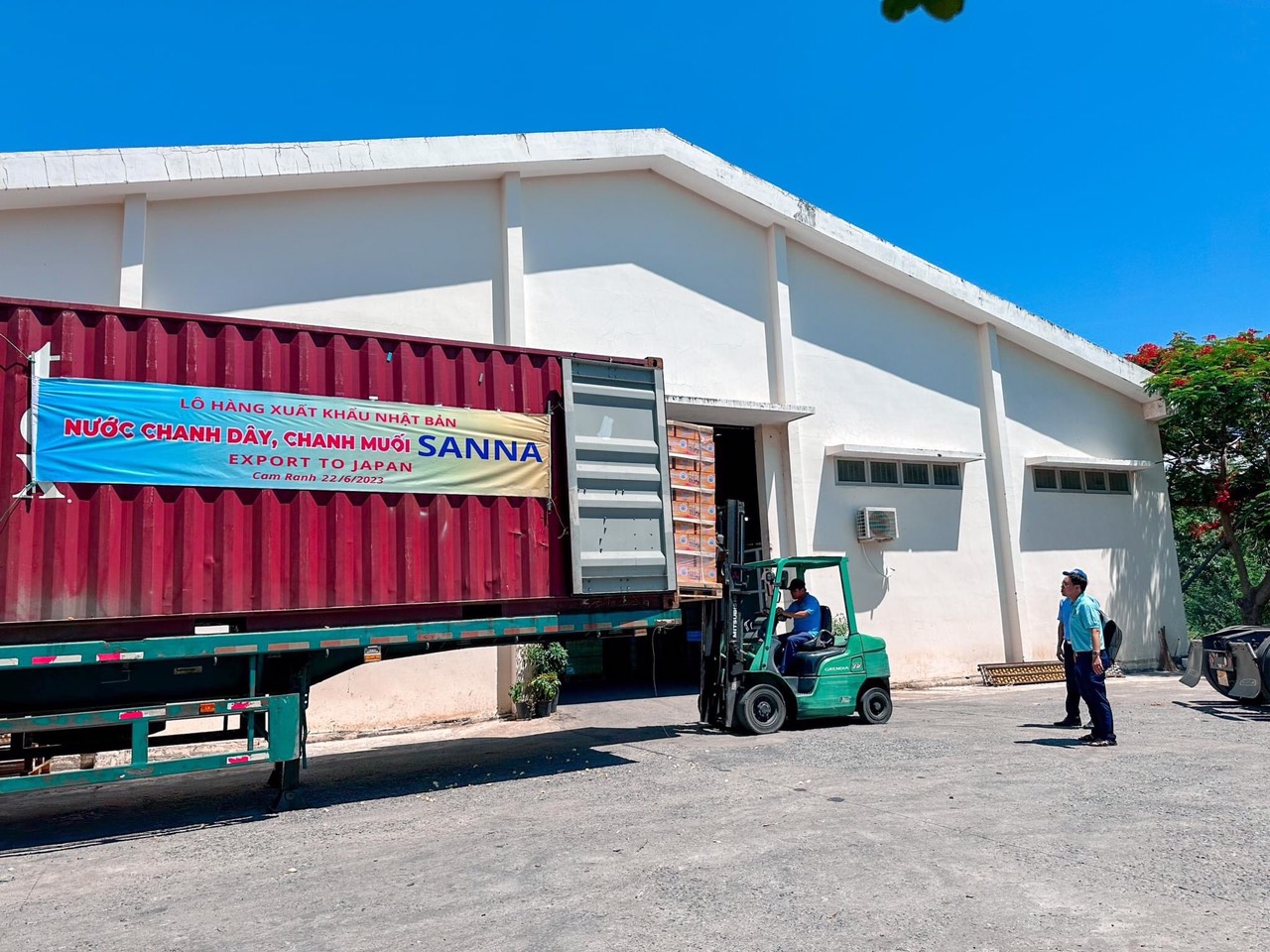 Sản phẩm nước giải khát của Sanna chuẩn bị đưa đi xuất khẩu.