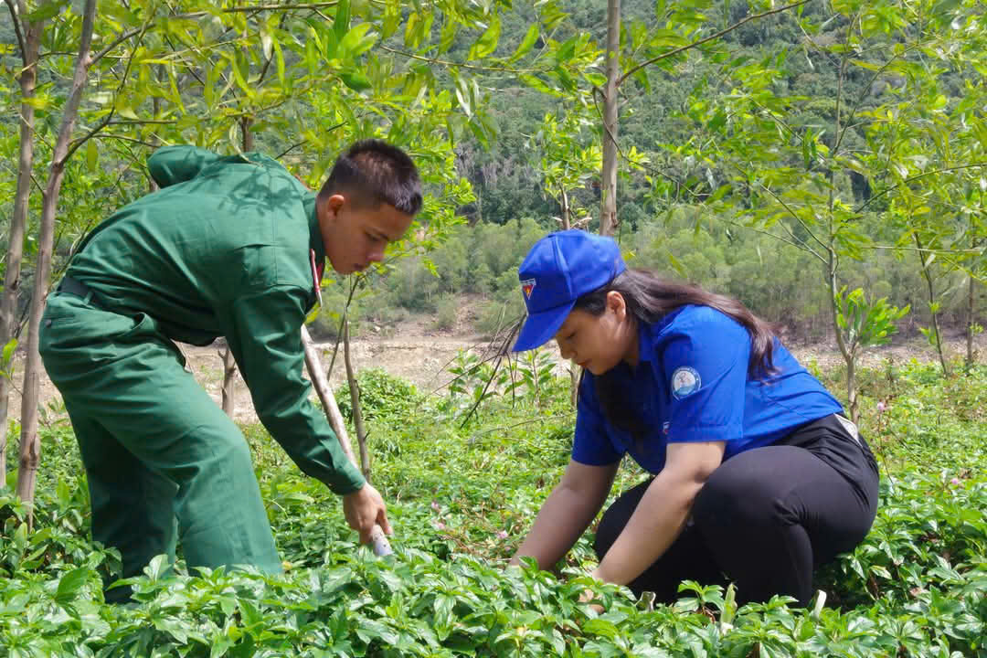 Chiến sĩ, đoàn viên thanh niên các đơn vị tham gia hoạt động tết trồng cây.