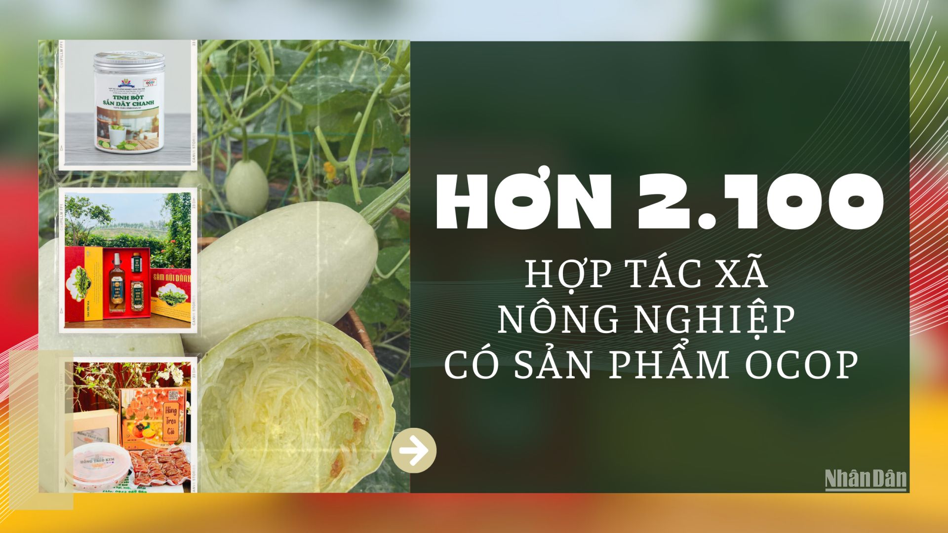 Hơn 2.100 hợp tác xã nông nghiệp có sản phẩm OCOP