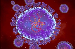 Kazakhstan ghi nhận hàng chục ca nhiễm virus HMPV