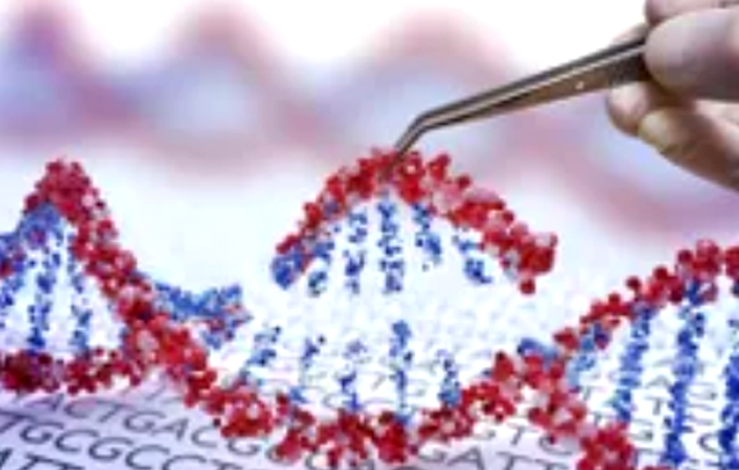 Công cụ mới giúp phân loại chính xác dữ liệu bộ gene