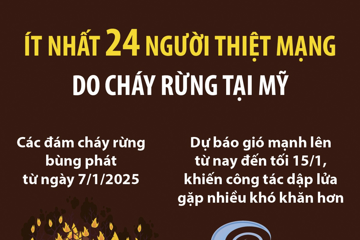 Ít nhất 24 người thiệt mạng do cháy rừng tại Mỹ