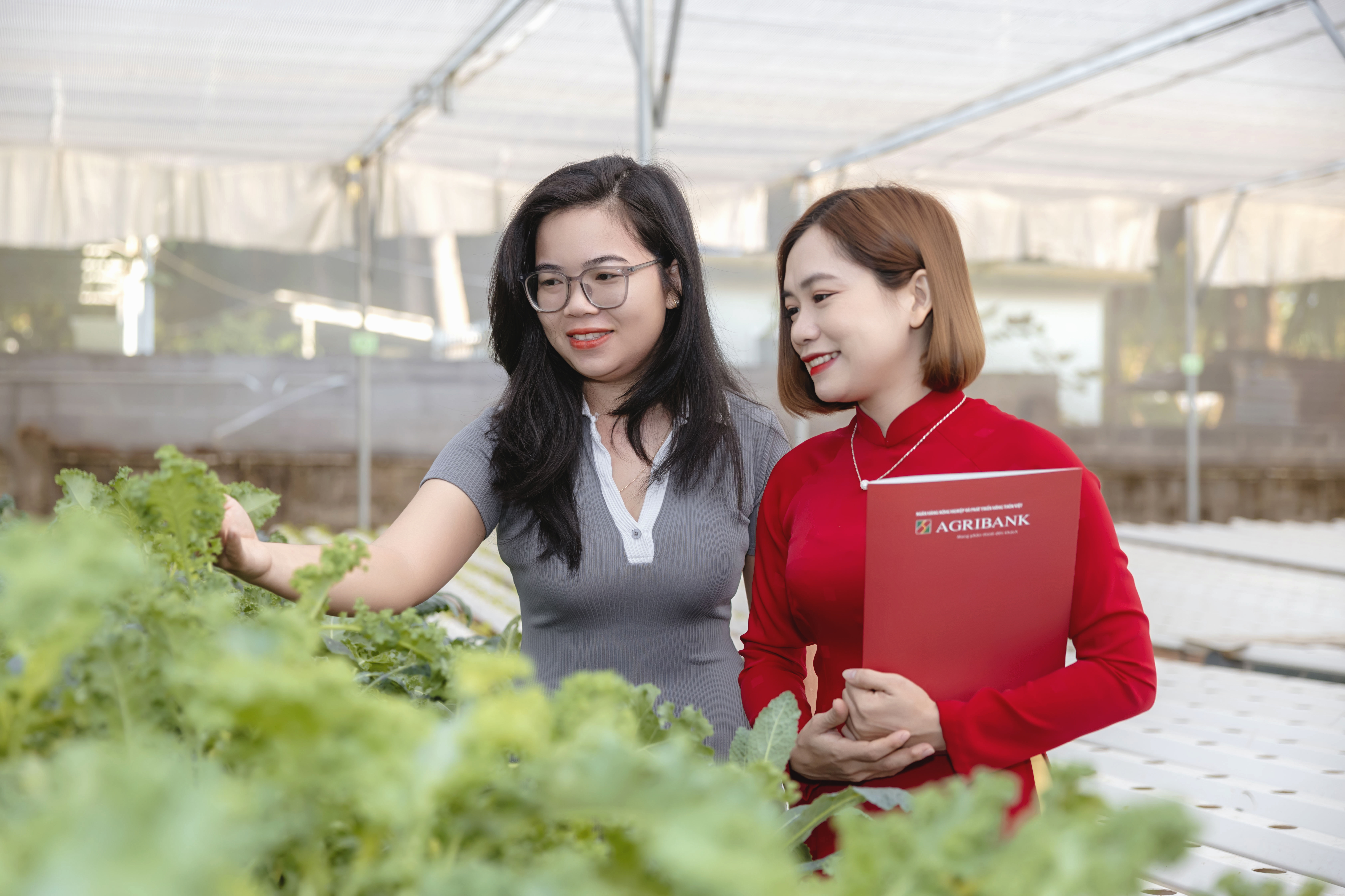 Nhân viên ngân hàng thăm vườn rau thủy canh
của Công ty TNHH Vườn Lá Xanh.