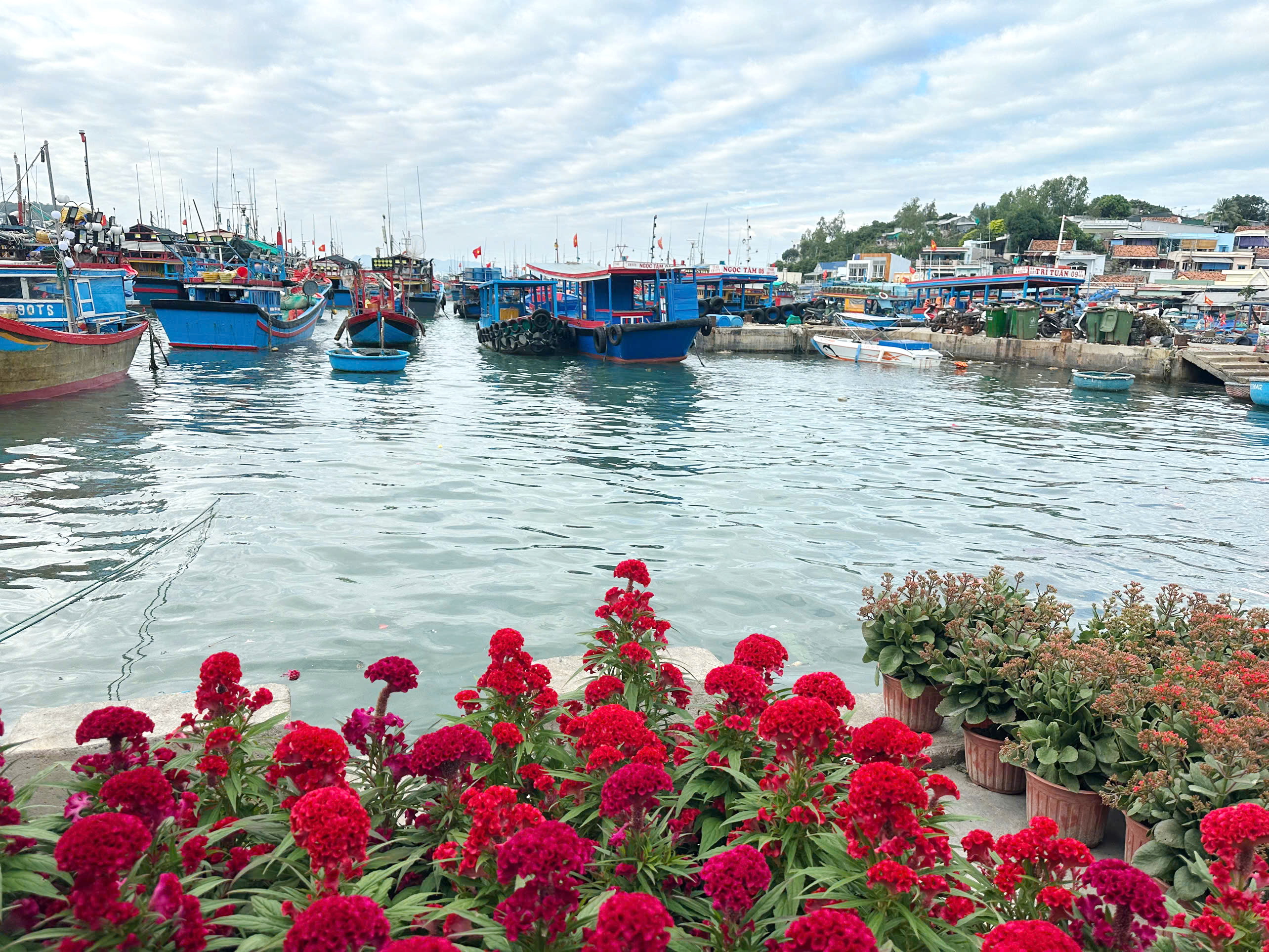 Mùa xuân về trên đảo Trí Nguyên