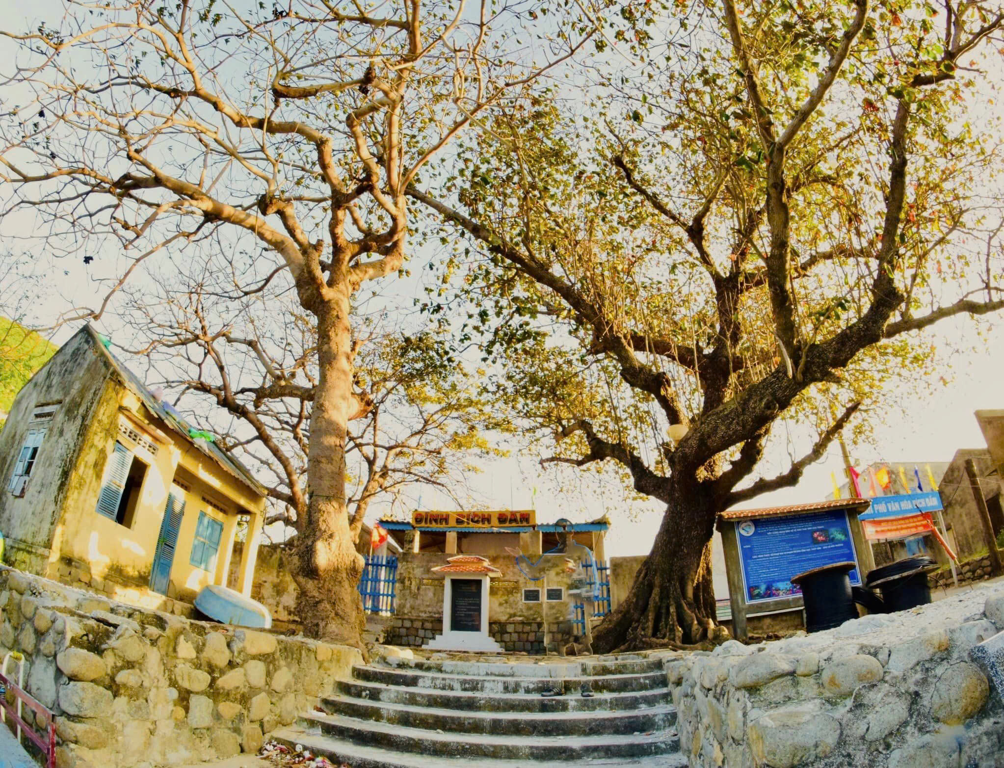 Sắc xuân bên đình làng biển