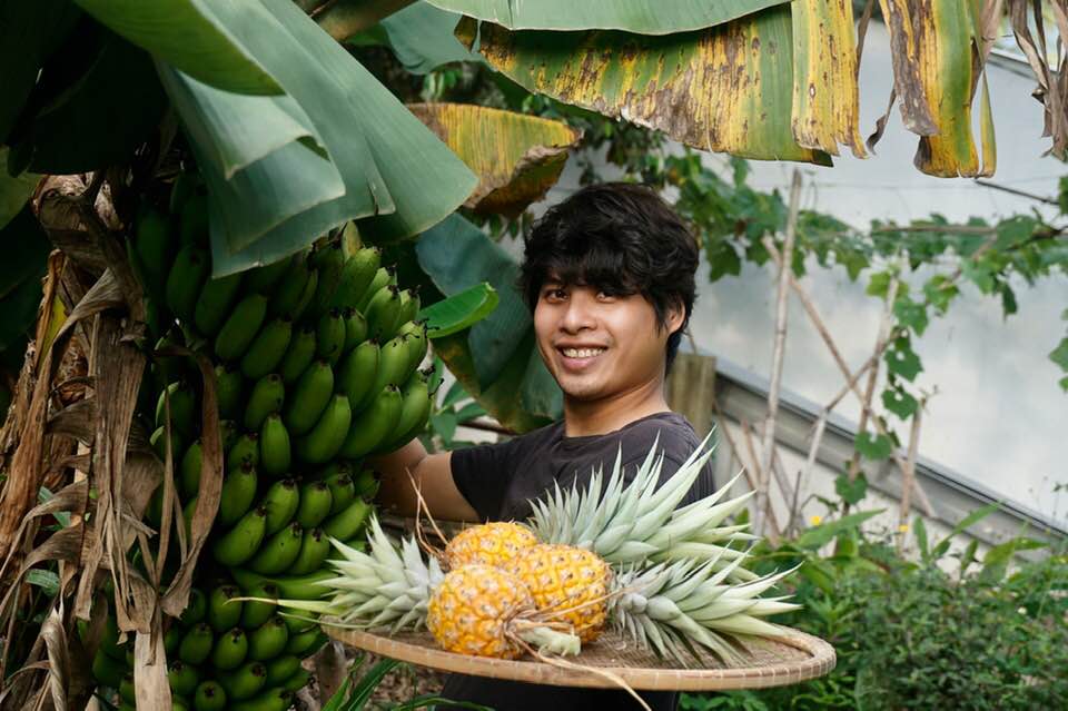 Người trẻ và giấc mơ khởi nghiệp ở vùng quê