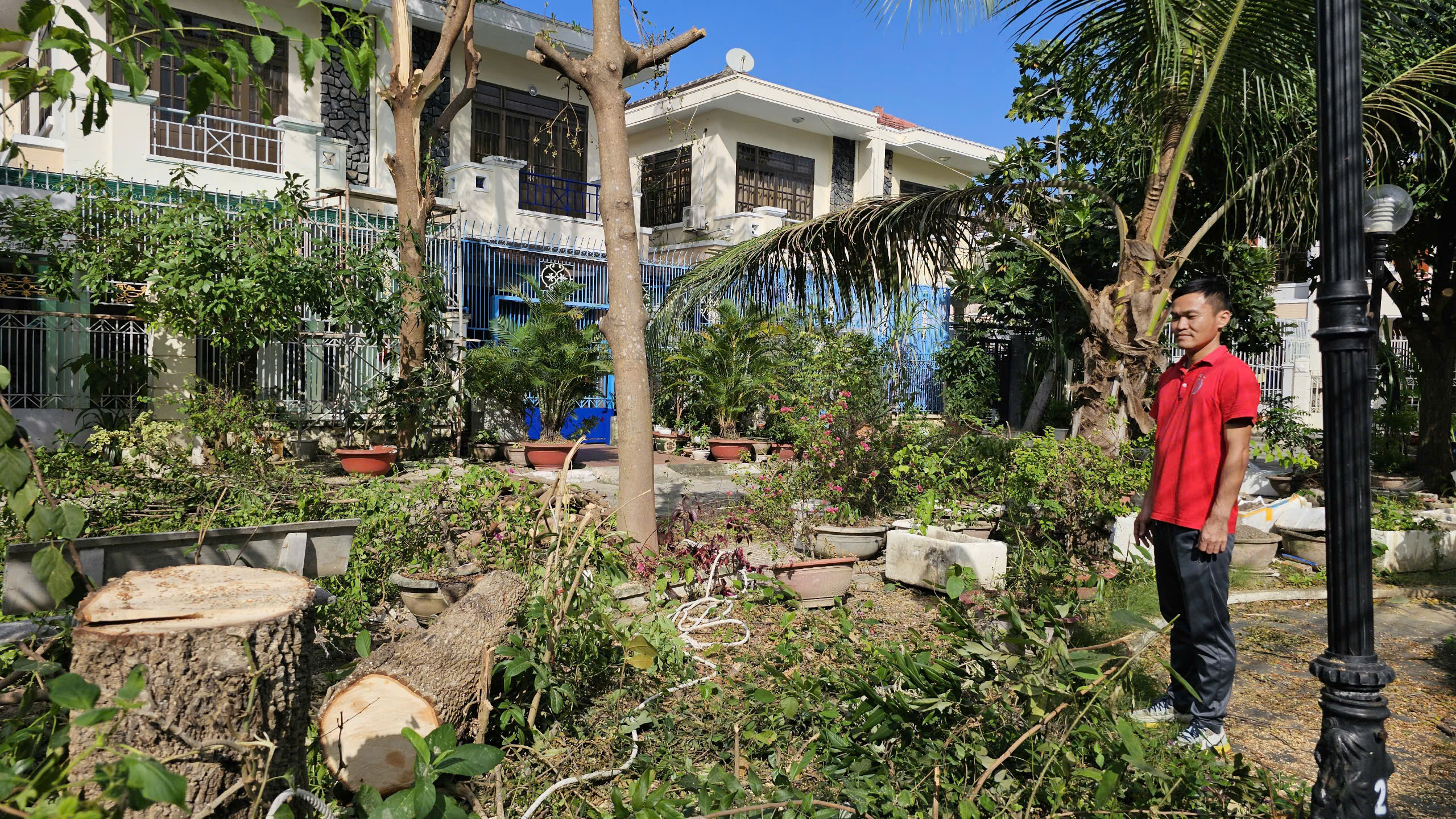 Chung cư Hưng Phú: Cây xanh công viên bị đốn hạ