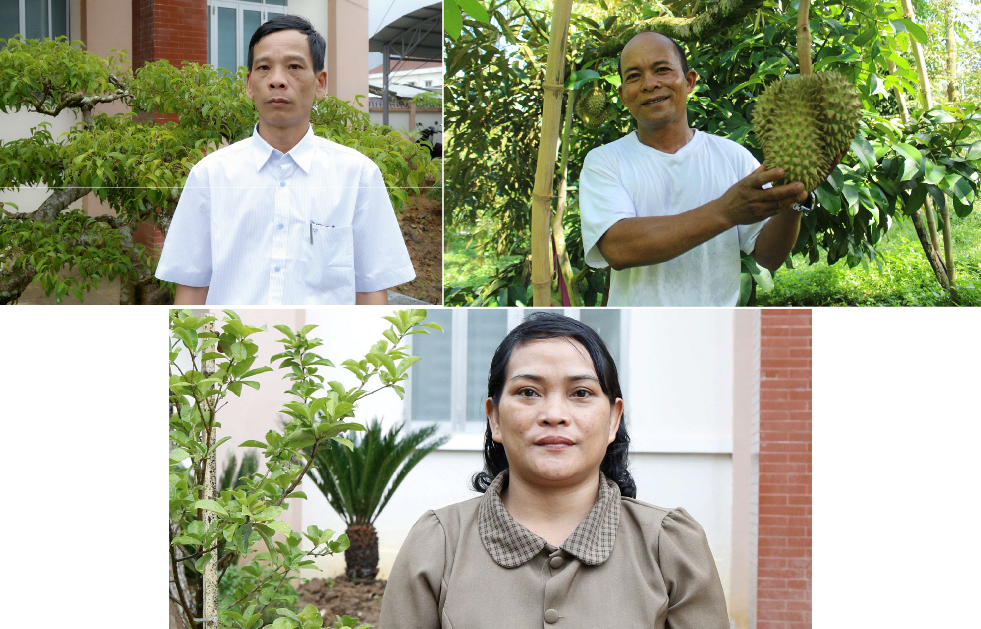 Chào mừng Đại hội Đảng bộ thị trấn Tô Hạp lần thứ XI, nhiệm kỳ 2025 - 2030: Những ý kiến tâm huyết gửi tới đại hội