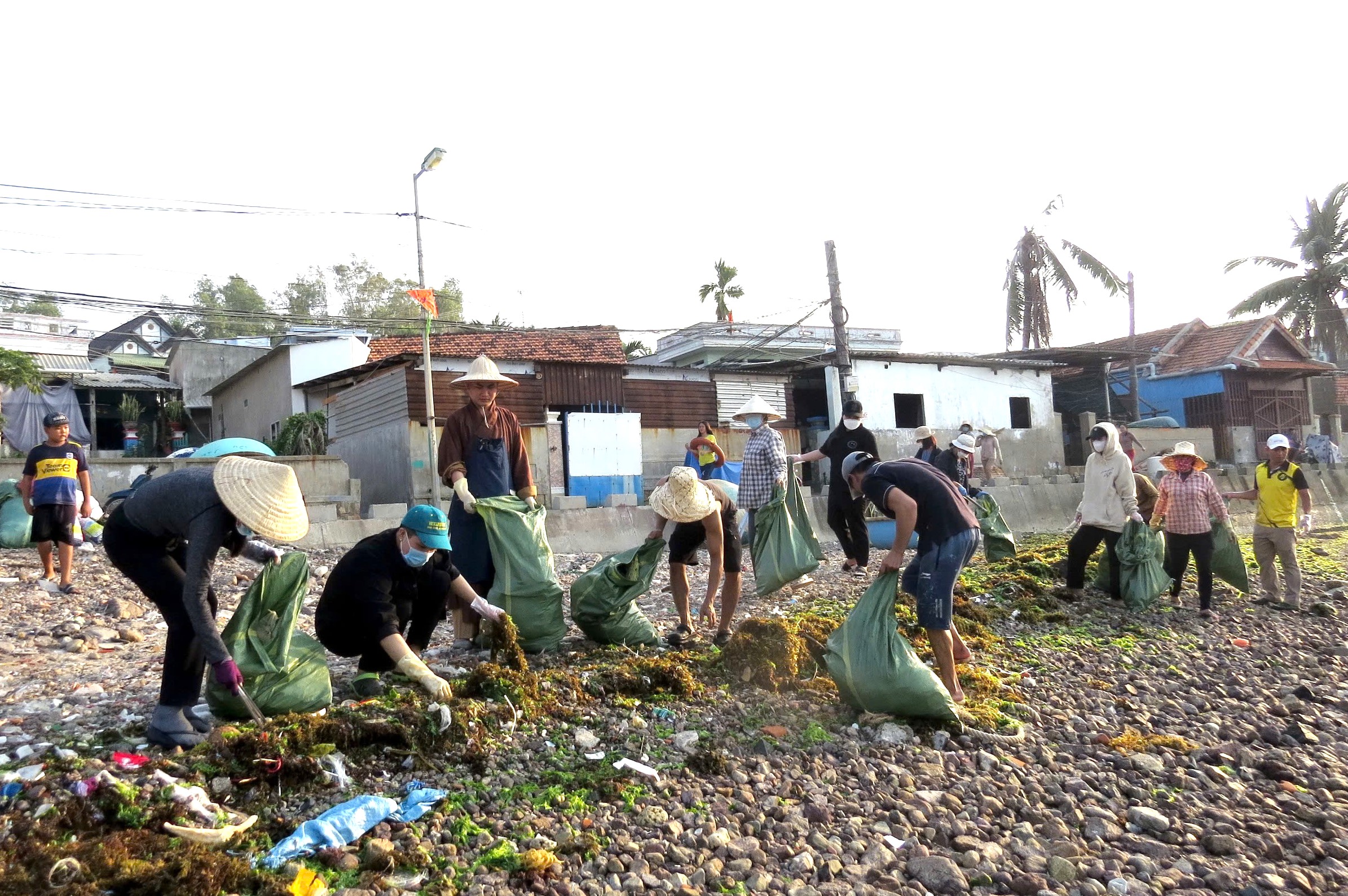 Nhiều năm qua, Hội Yêu rác xanh do sư thầy Thích Đức Túc, chùa Linh Quang (xã Vĩnh Thái, Nha Trang) thành lập với hơn 20 thành viên đã và đang góp sức, chung tay làm sạch môi trường của đảo Trí Nguyên. Vào mỗi sáng thứ Bảy hàng tuần, các thành viên Hội Yêu rác xanh lại đi thu gom rác thải quanh đảo Trí Nguyên. Mỗi đợt, hội thu gom được từ 20 đến 30 bao tải rác đưa về điểm tập kết để đem đi xử lý. Từ việc làm ý nghĩa của hội đã lan tỏa hành động, lối sống xanh cho nhiều người, giảm thiểu những tác động có hại đến môi trường. 