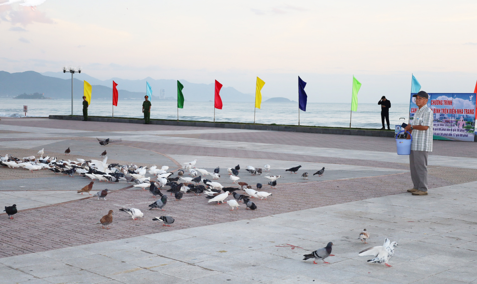 Nha Trang: Tổ chức chăm sóc chim bồ câu ở Quảng trường 2 tháng 4