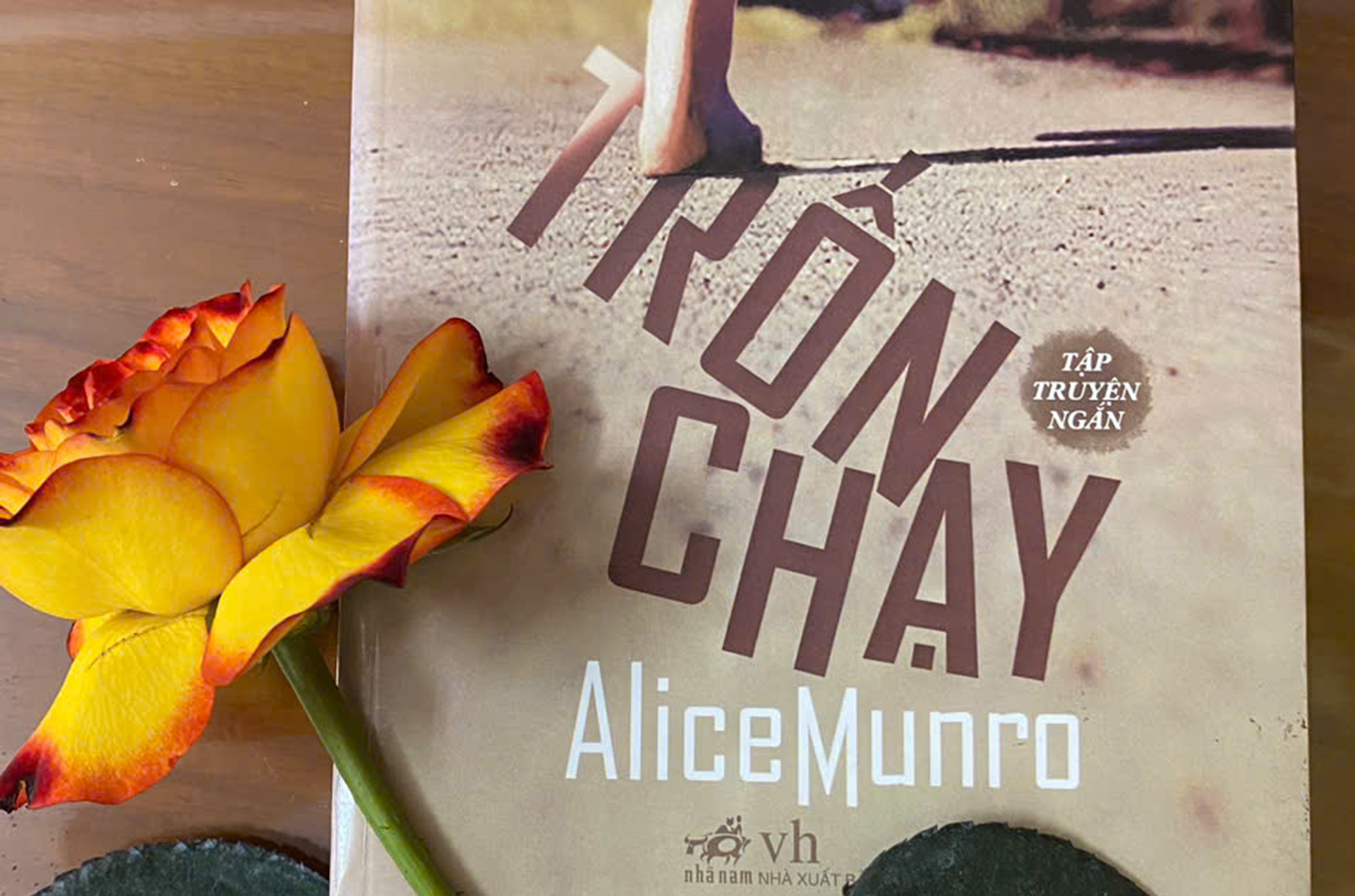 Trốn chạy - hay là con đường tìm kiếm hạnh phúc!