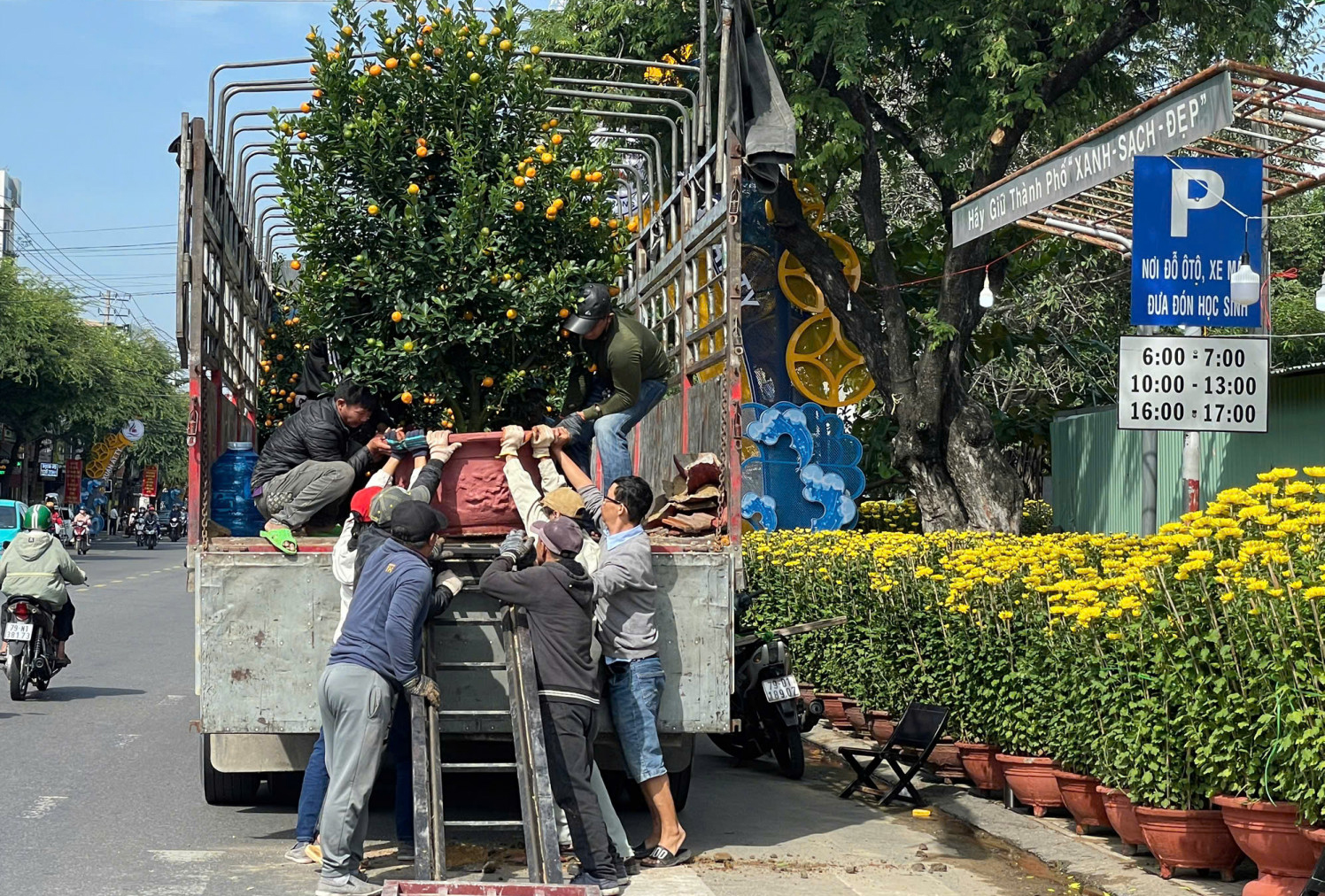 Mang xuân xuống phố