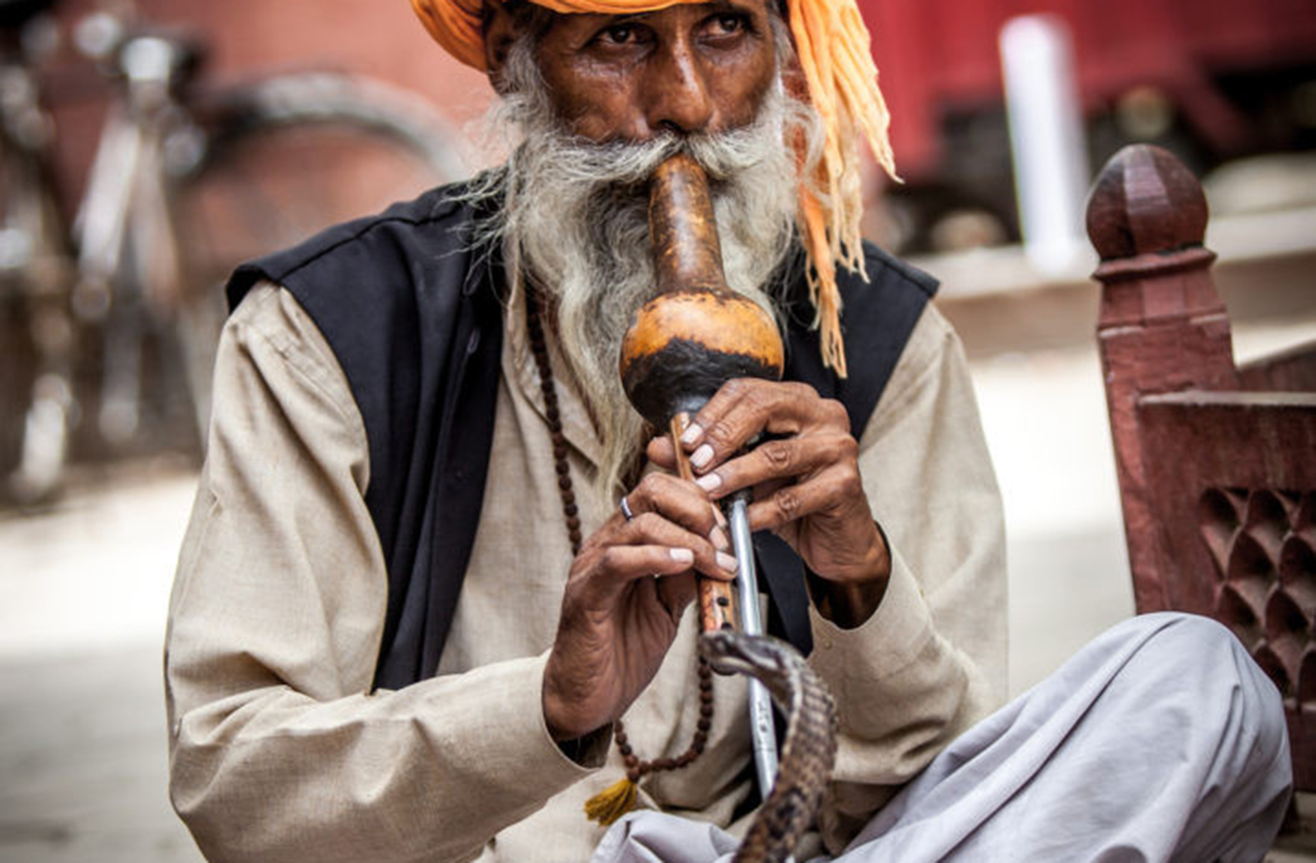 Năm Ất Tỵ, mạn đàm chuyện... rắn